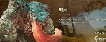 _怪物猎人荒野缠蛙怎么打_怪物猎人荒野缠蛙怎么打