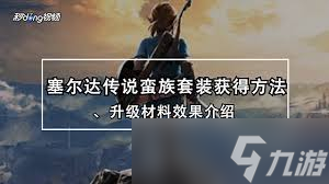 塞尔达中酷炫橡胶套装咋获得？神秘位置在哪你知道吗