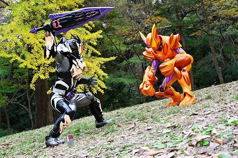 骑士的假面__假面骑士石板