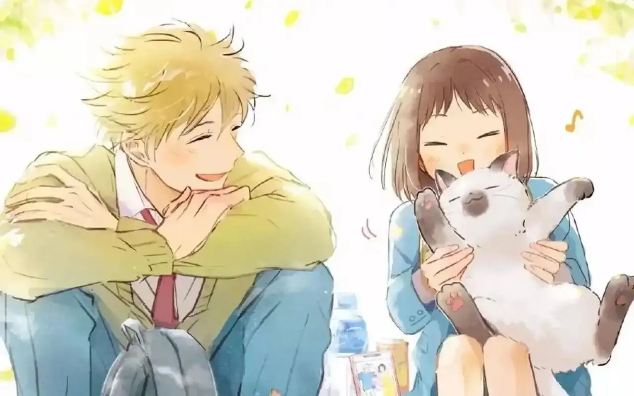甜甜的狗粮__中粮出品的狗粮