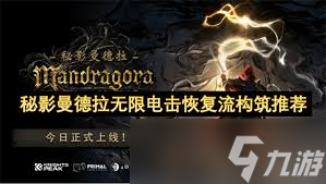 暗黑秘影秘籍_龙与地下城2暗黑秘影下载_