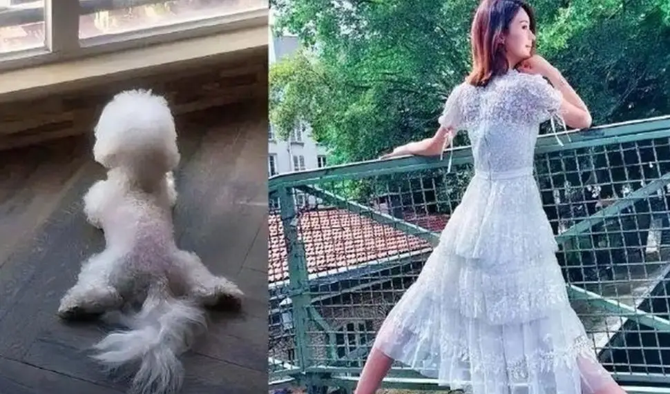 赵丽颖清醒__找赵丽颖离婚
