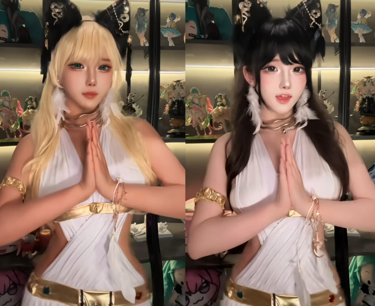 埃及猫百度百科__埃及猫狗