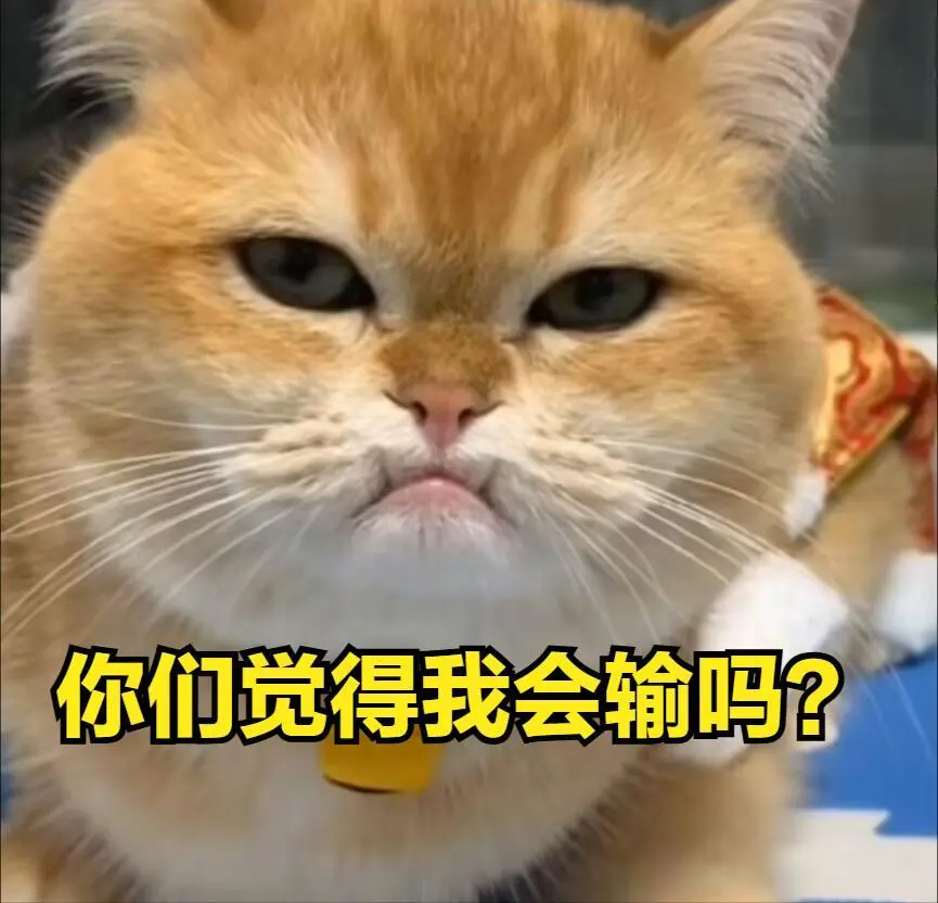 _最强全华班落败！BIN“黑料发言”被挖出，LCK依旧认为BLG是大敌_最强全华班落败！BIN“黑料发言”被挖出，LCK依旧认为BLG是大敌