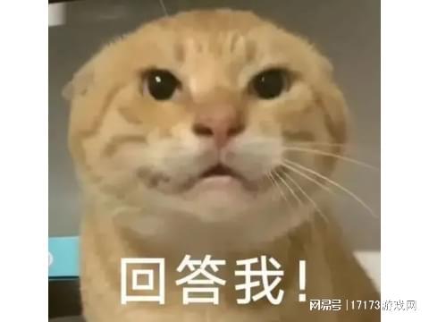 _开挂封号违法吗_开挂封号要赔偿吗