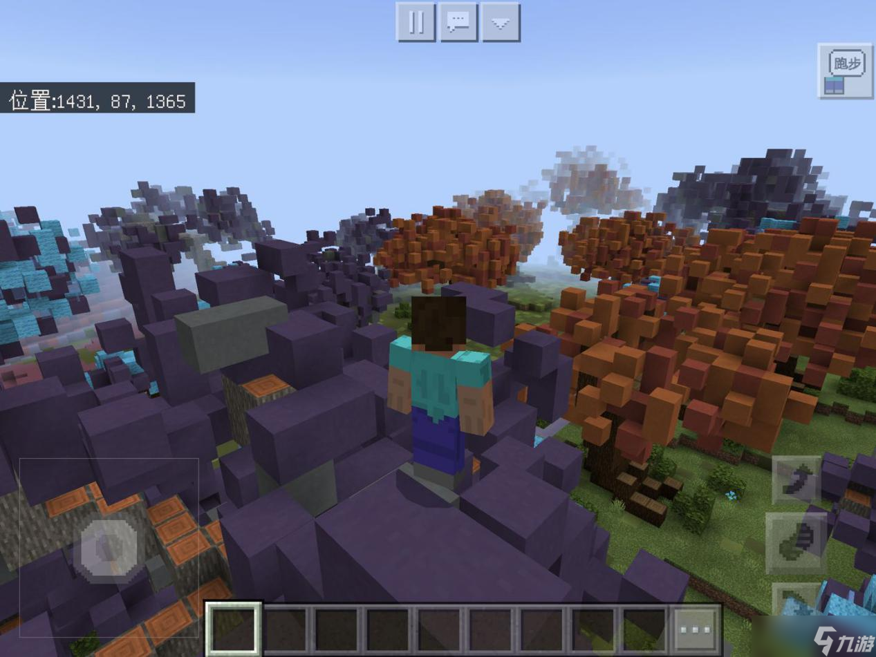 _美短猫舍推荐_美舍雅阁植物精油图