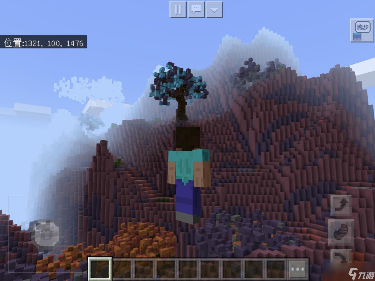 美短猫舍推荐_美舍雅阁植物精油图_