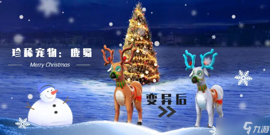 少年悟空传宠物__悟空少年传最新兑换码