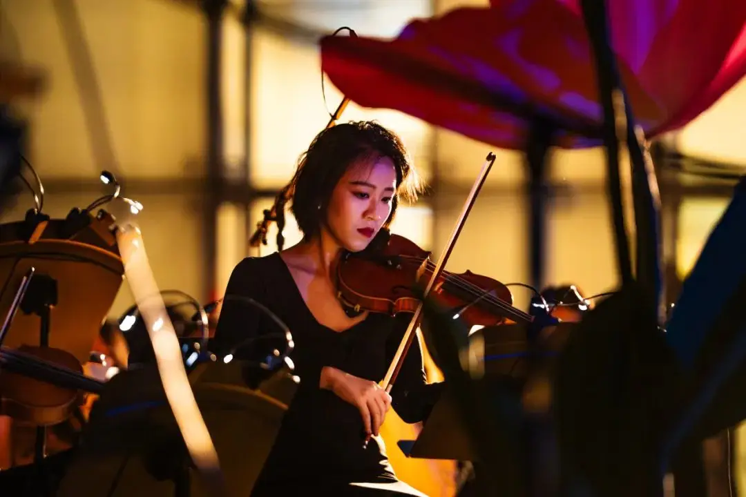 端午节儿童音乐有哪些__儿童端午节歌曲