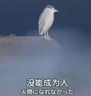 中国古代领先西方夜之牧者_上海领先体育张军_
