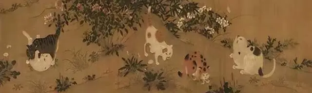 得过诺贝尔奖的猫_诺贝尔猫_