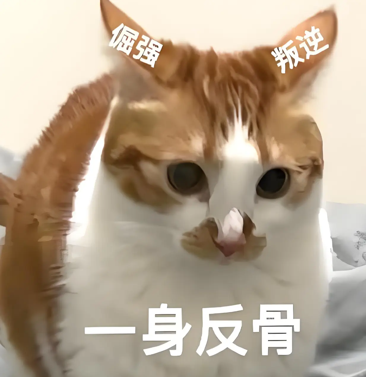 网易逆水寒手游爆火出圈！不卖数值凭啥这么牛？