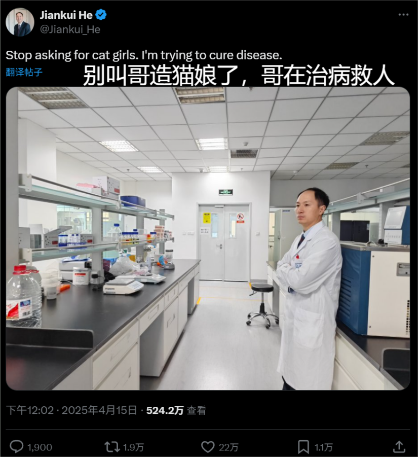 _智造家平台供应商_守护猫娘绯鞠第二季什么时候出