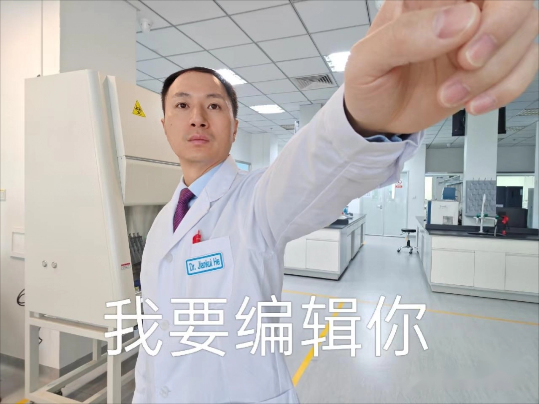 智造家平台供应商__守护猫娘绯鞠第二季什么时候出