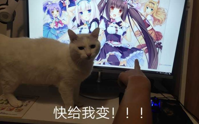 智造家平台供应商__守护猫娘绯鞠第二季什么时候出