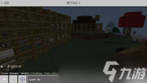 我的世界背包空间不够用？清背包指令你知道几个