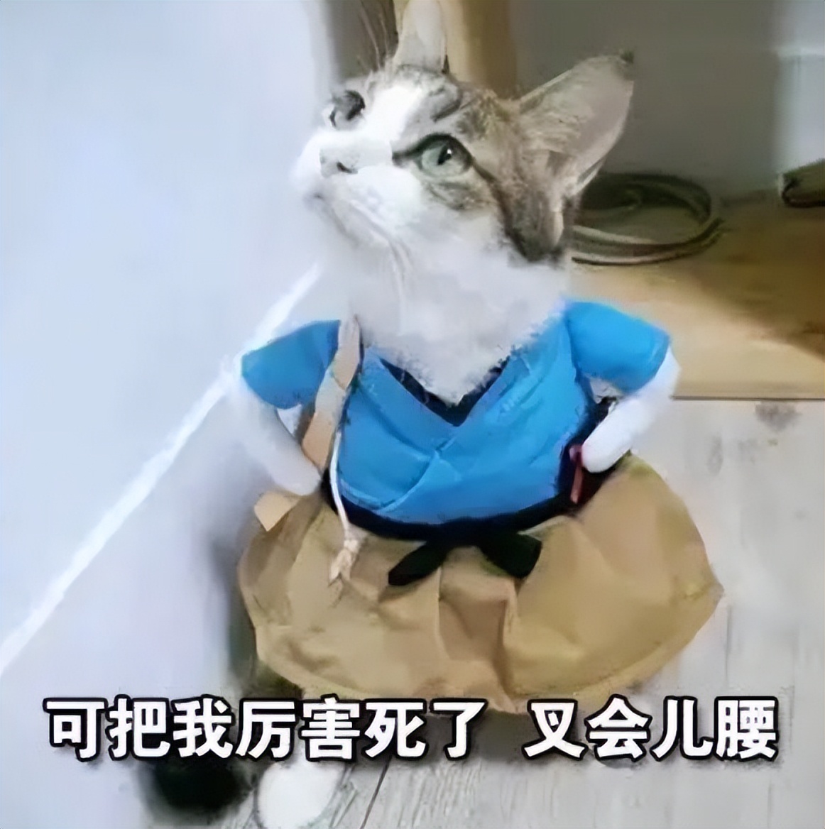 网易平台流水__网易2021流水