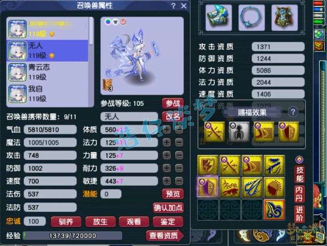 梦幻全能组合_梦幻西游全能星位套装_