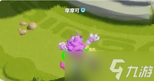 野蛮人大作战2！近战爆发瓦瓦莉与远程消耗摩摩可，谁才是你的菜？