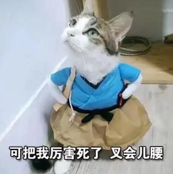 阴阳师国服下载__国服阴阳师是什么意思
