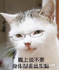 身体还是太诚实！腾讯版女神开局登顶；网易多款PC大作崭露头角_身体还是太诚实！腾讯版女神开局登顶；网易多款PC大作崭露头角_