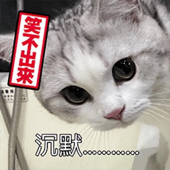 《率土之滨》新赛季放大招，北伐剧本+玩法更新，赛季开荒不重样__《率土之滨》新赛季放大招，北伐剧本+玩法更新，赛季开荒不重样