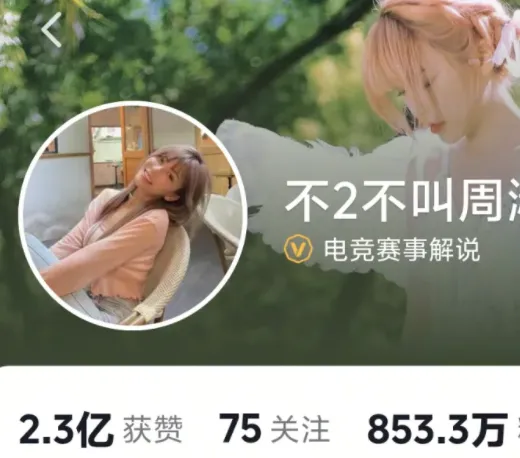 跳槽之人占多数_粉丝跳槽是什么意思_