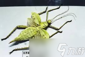 标本员薪资待遇_岗位标本_