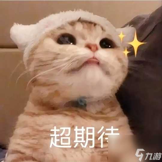 f22外观颜值_美小护颜值+实力_