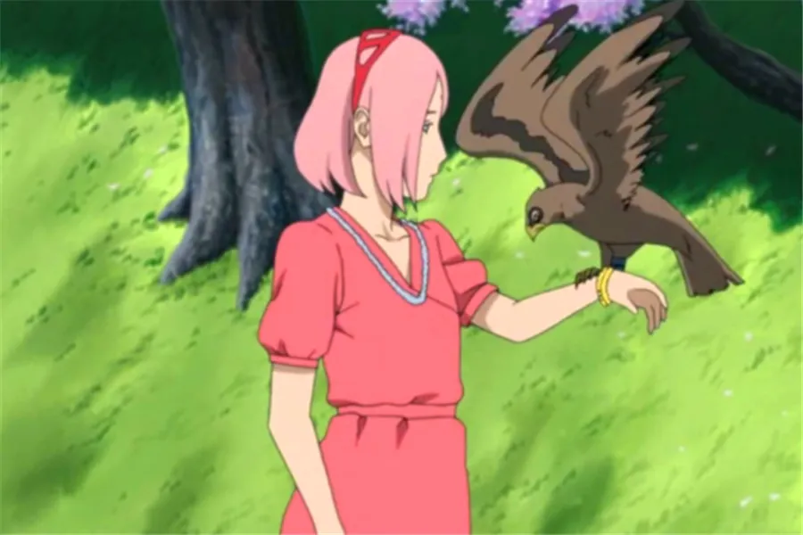 火影忍者里这些平胸美女，你知道几个？