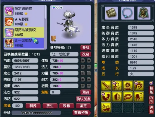 梦幻西游天元_梦幻天元是什么意思_