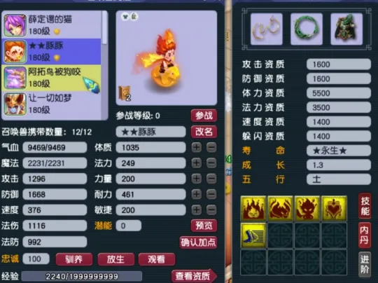 _梦幻西游天元_梦幻天元是什么意思
