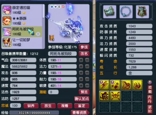 _梦幻西游天元_梦幻天元是什么意思