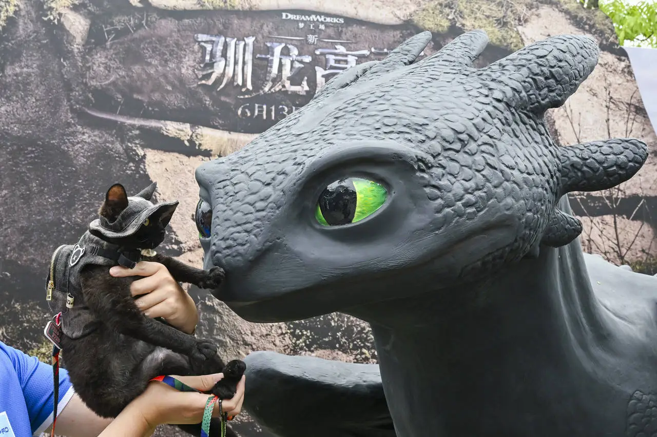 6月13日上映！新·驯龙高手奇幻冒险，没牙仔空降上海？