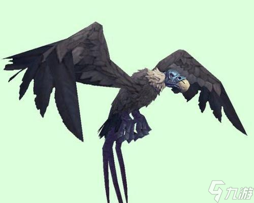 魔兽世界20级猎人，秃鹫战斗技巧你掌握了吗？