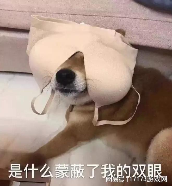 这谁顶得住啊！会做饭的傲娇厨娘半球侧漏，奶白的雪子根本顶不住_这谁顶得住啊！会做饭的傲娇厨娘半球侧漏，奶白的雪子根本顶不住_