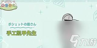 _口袋系列的卡片排名_口袋dji