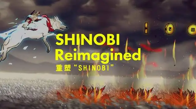 崖柏精品料_崖柏扭曲料精品图_