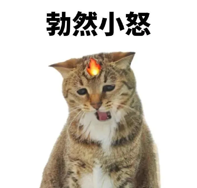 _国内某航空视频流出ed2k_国内女明星流出视频
