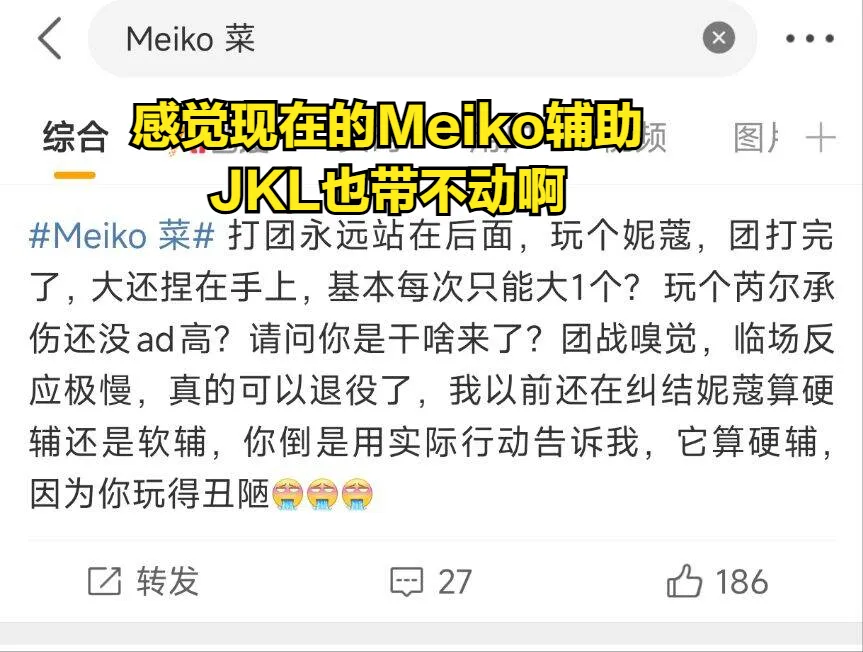 辅助的打法__辅助打的好