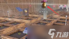 七日世界中，想获取庞然大菇？这些生长地你得知道