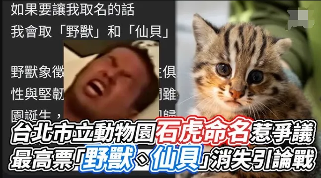 外国人流量密码__外网起名
