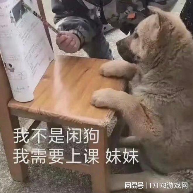 剑星未上线PC版MOD却先火？成人向模组下载量惊人！？