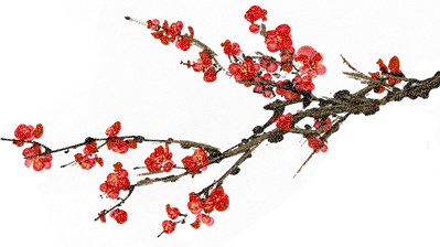 梦幻西游之跨服战场txt下载__沙漠古战场在哪