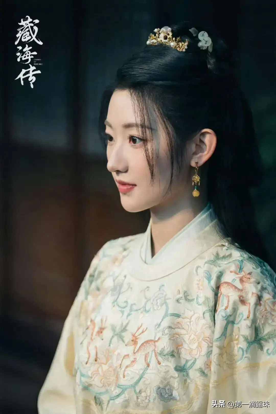 _藏海以后_藏海是什么