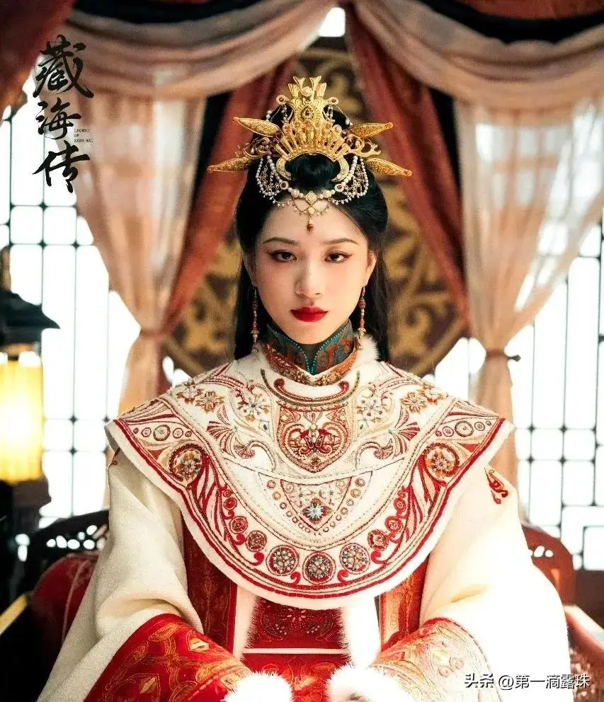 藏海是什么__藏海以后