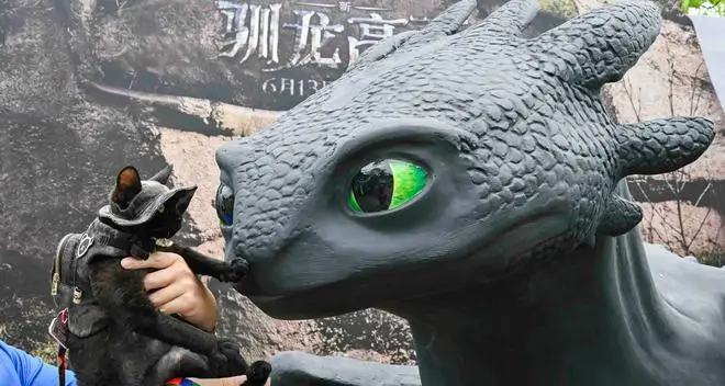 驯龙高手龙之牧场__龙之牧场之驯龙高手