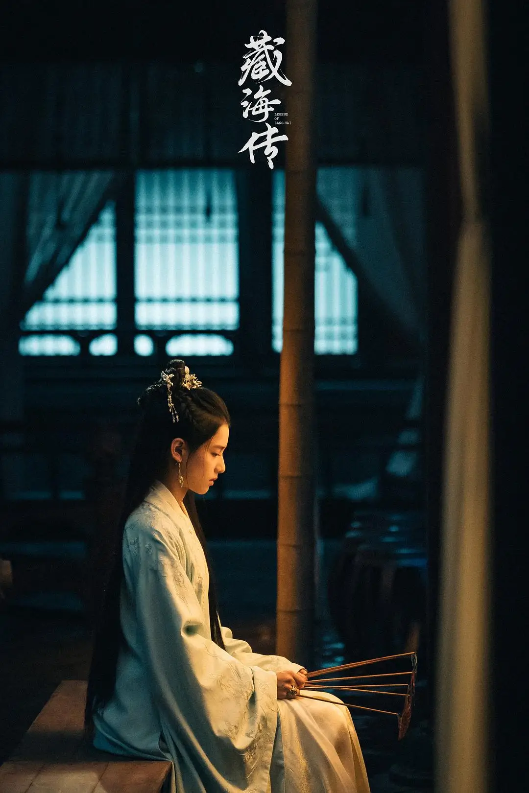 藏海小说__藏海是什么