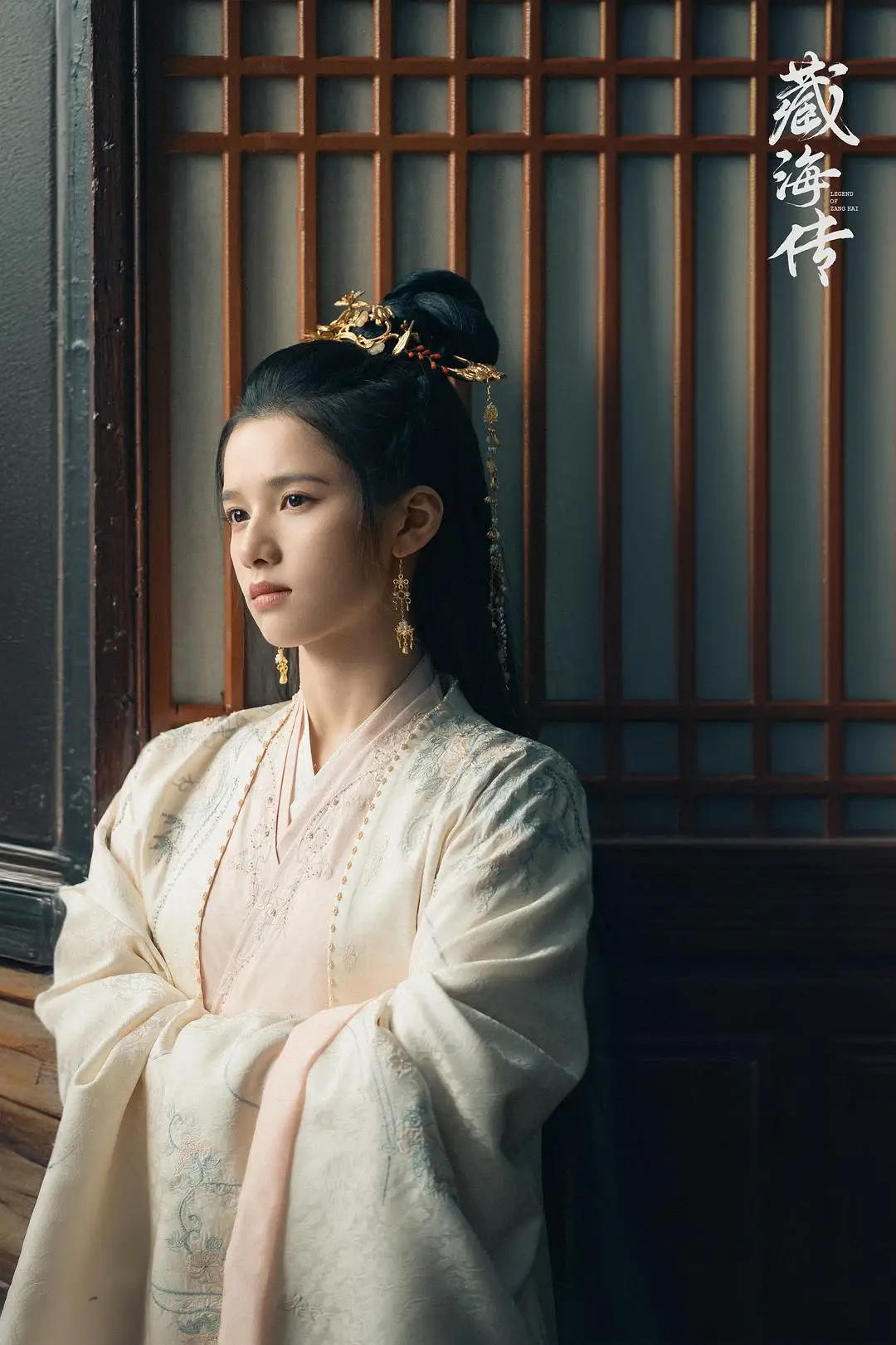 藏海是什么__藏海小说