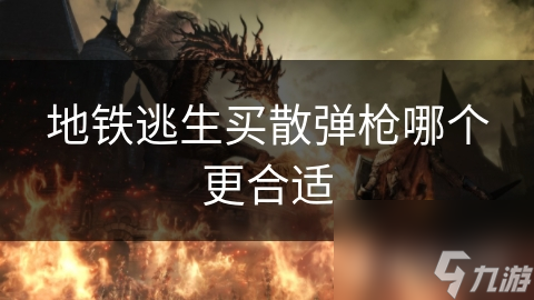 地铁逃逸买散弹枪？安全、实用、合规性等因素你考虑了吗